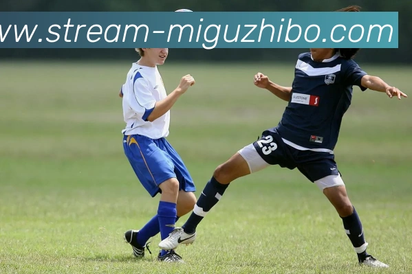 多媒体互动体验